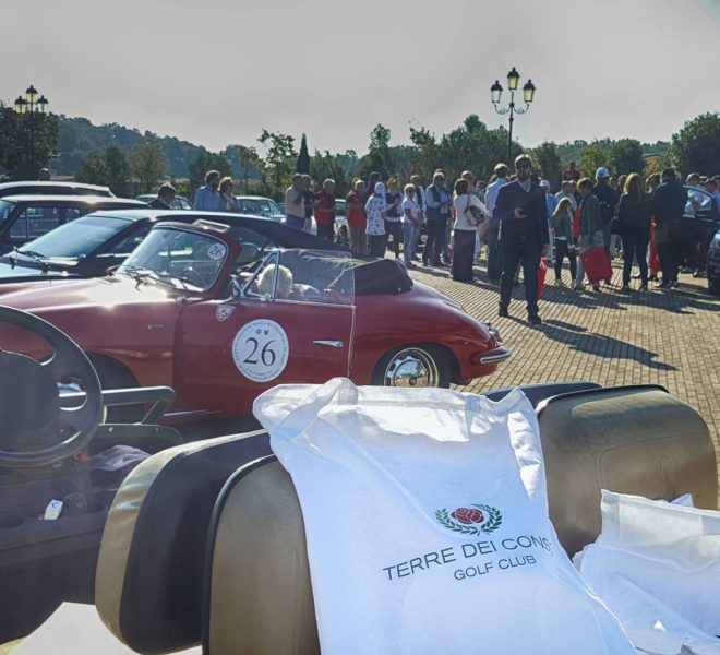 14379994_1185912961470282_4391431141174843821_o